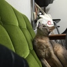 の写真