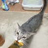 おくれよ