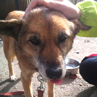 ちょっぴり人見知り。実は甘えん坊?!　あら子ちゃん