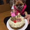 1歳のお誕生日( ^-^)/:★*☆オメデト♪