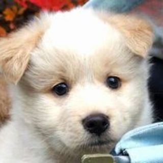 ♪ ZIP ♪ 生後2ヶ月弱の男の子