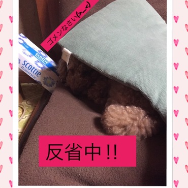 の写真