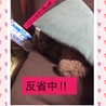 の写真