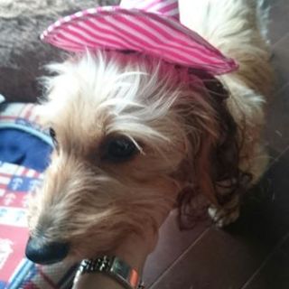 険悪になってしまったので急遽