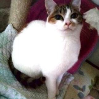 あみちゃん　ちょっとツンデレが魅力的