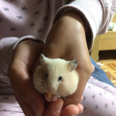 の写真