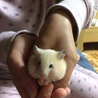 の写真