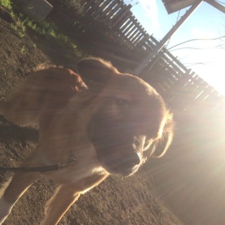 ちょーと人見知りなプリッツちゃん