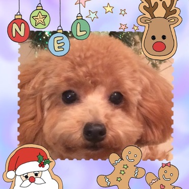 の写真