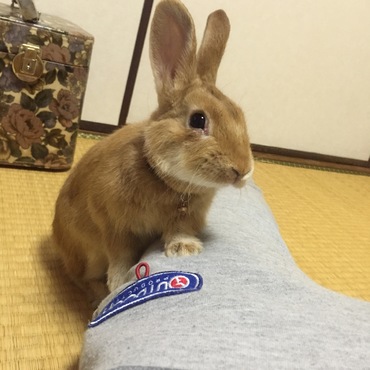 おかあさーん  おやつちょうだ〜い
