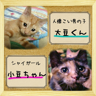 人間大好き・仲良し兄妹！