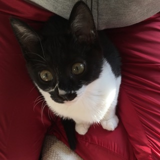 素直な甘えん坊 まこちゃん♪