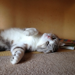 やっほ～！広々(^^)