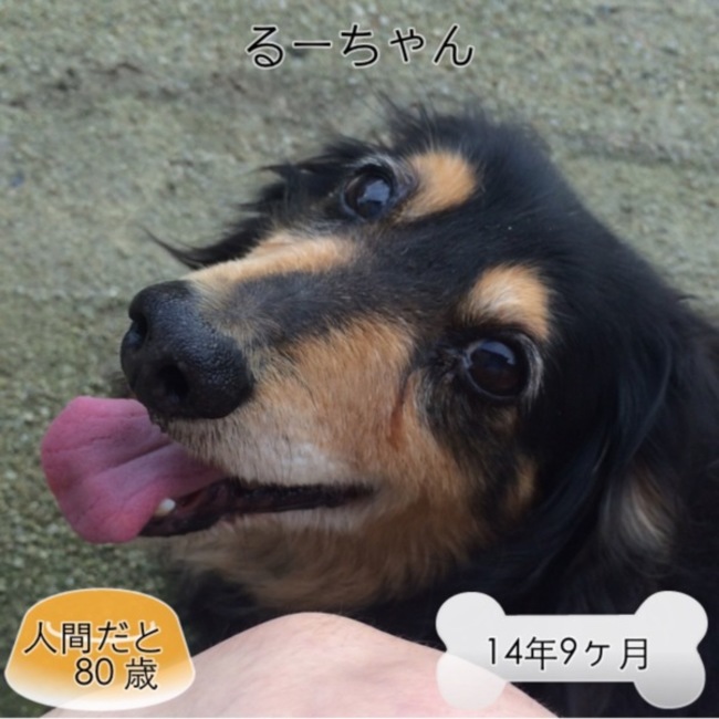 いずもやのカバー写真