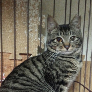 真ん丸お顔のシャボン君♡