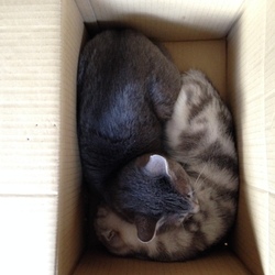 今日も完璧に枕にされてる(^_^;)