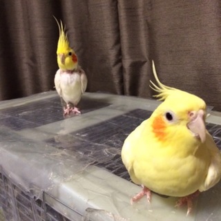 沢山のご応募ありがとうございました！！