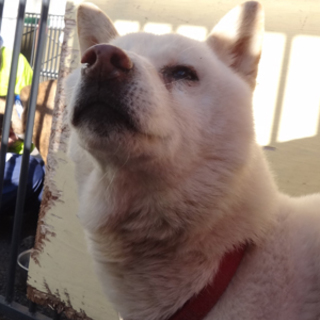 マイペースが魅力のマーカー君！