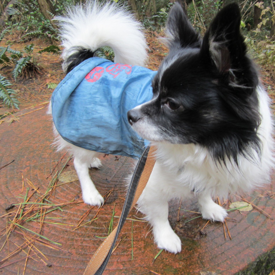 二見　空　くうのカバー写真