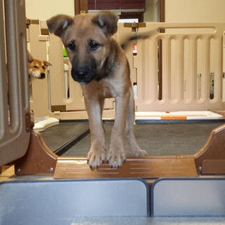 ４ヶ月のケン君(2号)