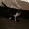 甘えん坊だけどとってもやんちゃ