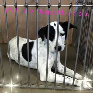 譲渡されました！！