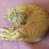 大きくなったよ