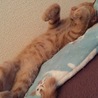 オバケ寝～
