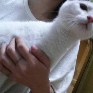 助けて下さいこのままだと保健所です