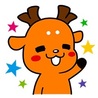 めたこ