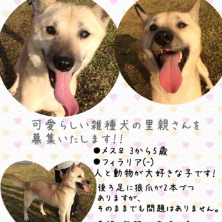 人や動物が大好きな子です