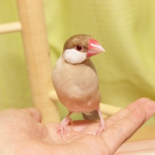 沢山のご応募ありがとうございました