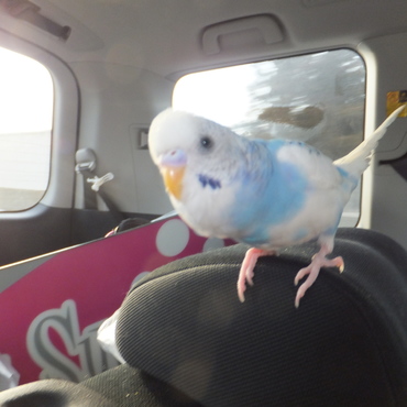 スノボしにいきました＾＾