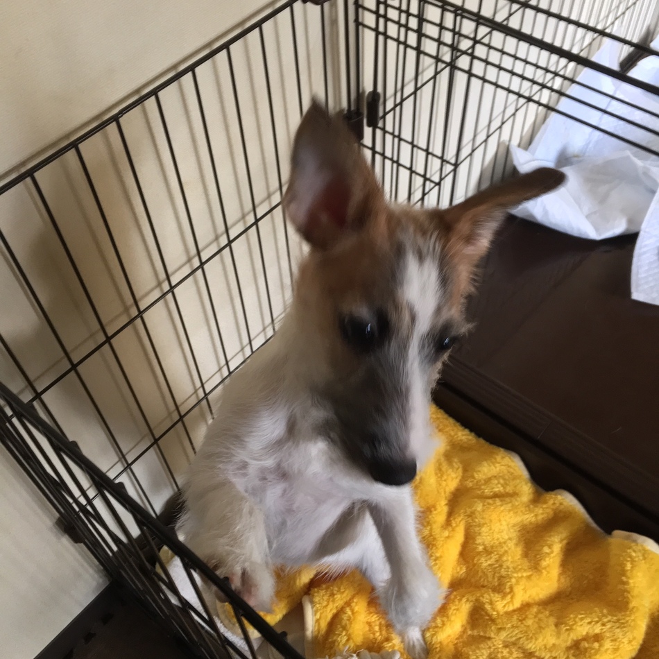 Canonのカバー写真