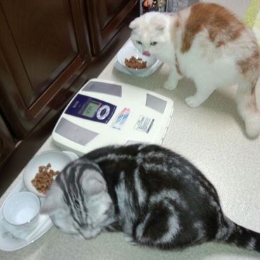 一緒にお食事できるようになりました。