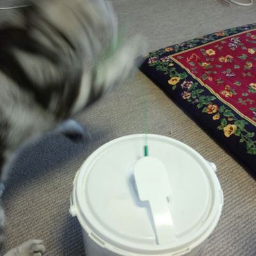 ウェットティッシュの容器にねこじゃらしを挟む⇒見えないスピードで遊ぶ遊ぶ♪