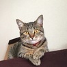 ねね