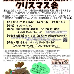 保護猫とのふれあい&お見合い会