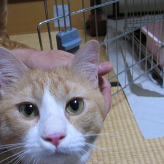 ふわふわ、もふもふです。