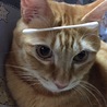 の写真