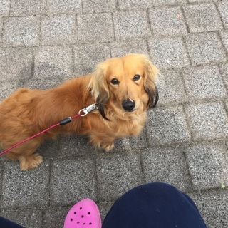 ありがとうございました