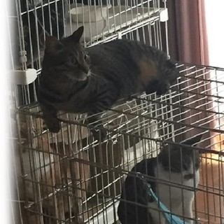 仲良し兄妹です♪