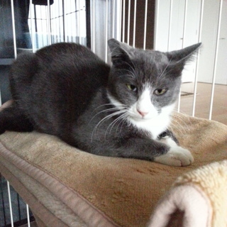 甘えん坊女の子