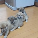 素敵な御縁がありました。ありがとうございました。