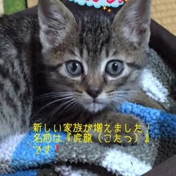 順応性高すぎる！