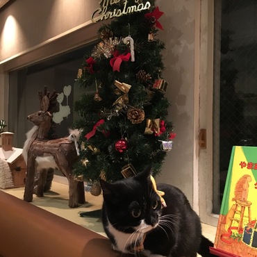 メリークリスマス