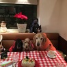 クリスマスパーティー.+*:ﾟ+｡.☆  ミートローフケーキでお祝い