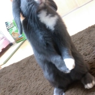 大切に育てて下さる方◎