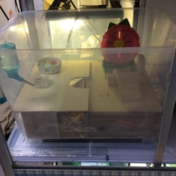 「ハムスターケージ再びリフォーム！」サムネイル1