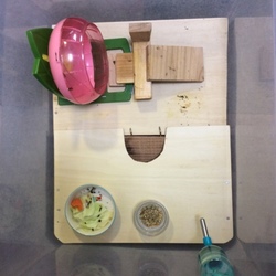 「ハムスターケージ再びリフォーム！」サムネイル3